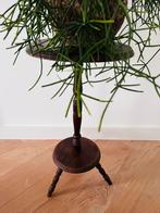 Antiek Plantenkrukje / Bijzettafeltje, Huis en Inrichting, Krukjes, Ophalen, Gebruikt, Hout