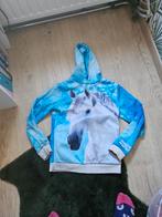 Paardenpraat trui mt 146,152, Dieren en Toebehoren, Paardrijkleding, Ophalen of Verzenden, Zo goed als nieuw, Bovenkleding