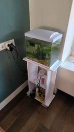 Aquarium with stand, food and accessories, Dieren en Toebehoren, Vis