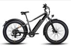 Radpower E-bike te koop!, Gebruikt, 51 tot 55 cm, 50 km per accu of meer, Ophalen