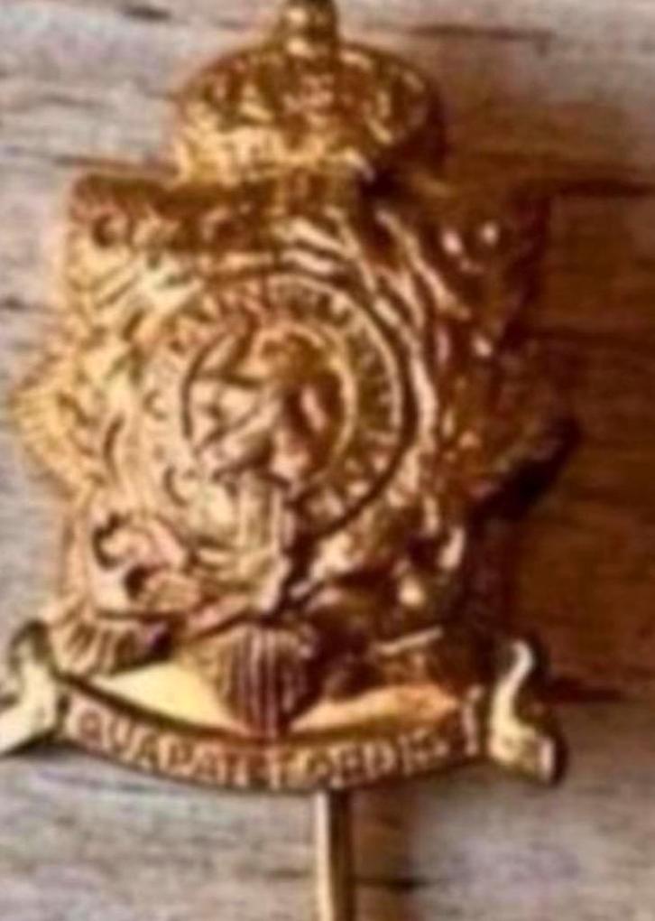 Korps Mariniers Oude Reverspeld -1G, Verzamelen, Militaria | Algemeen, Marine, Embleem of Badge, Nederland, Verzenden