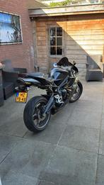 Te koop triumph Daytona 675 40.000 km bij 2010, Motoren, Naked bike, Particulier, 3 cilinders, Meer dan 35 kW