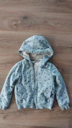 Lekker warm vest maat 110 van Hema, Ophalen of Verzenden, Zo goed als nieuw, Meisje, Trui of Vest