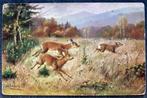 De reeen rennen over het bosveld heen, Verzenden, Voor 1920, Ongelopen, Wild dier
