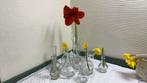 Amaryllis vazen, glazen vaasjes, brocante, Huis en Inrichting, Woonaccessoires | Vazen, Minder dan 50 cm, Glas, Ophalen of Verzenden