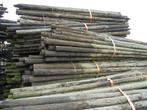 boompalen  lang 300 cm   dik  9-10 cm, Ophalen, Gebruikt, 250 cm of meer, Palen