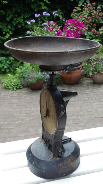 Salter beschikbaar voor biedingen