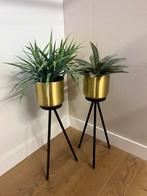 Neppe planten in pot staand 2x, Huis en Inrichting, Woonaccessoires | Zuilen en Pilaren, Ophalen, Zo goed als nieuw