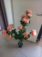 nepplant roze bloemen, Huis en Inrichting, Ophalen, Gebruikt