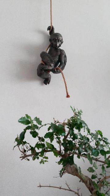 Decoratieve aap aan touw beschikbaar voor biedingen