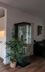 Vitrinekast met verlichtingsarmatuur, Huis en Inrichting, Kasten | Vitrinekasten, Ophalen, 50 tot 100 cm, Glas, Modern