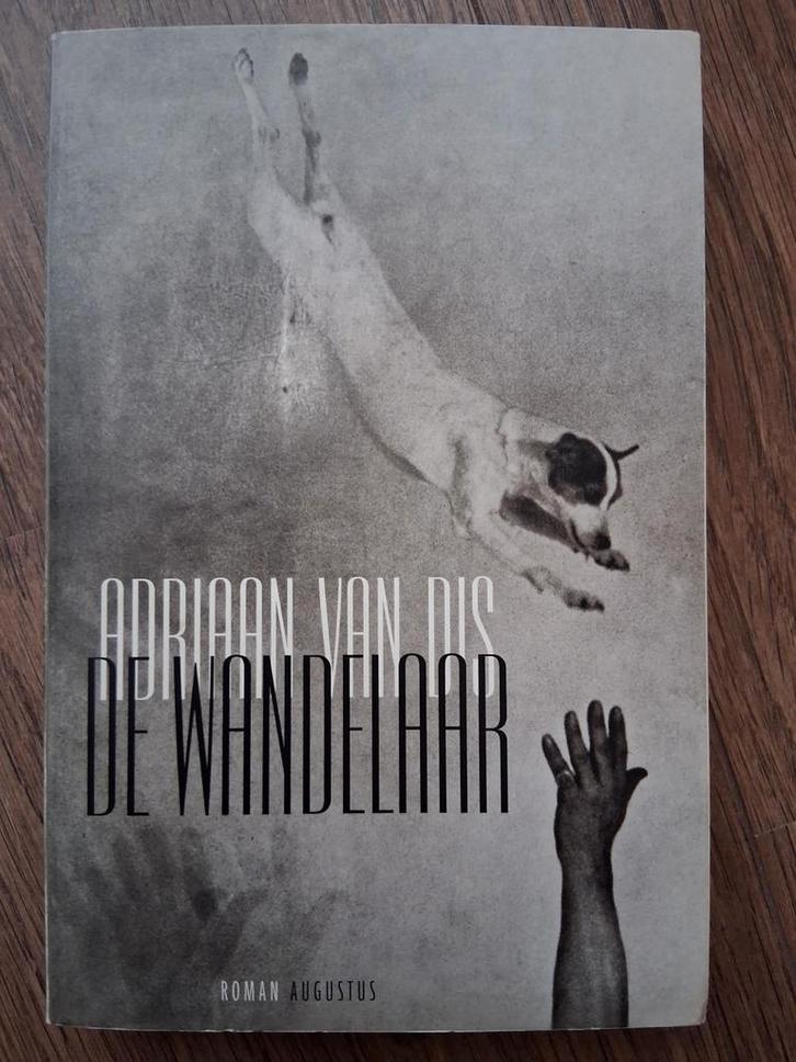 Adriaan van Dis - De wandelaar, Boeken, Literatuur, Zo goed als nieuw, Ophalen of Verzenden