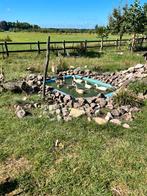 Loopeenden te koop, Dieren en Toebehoren, Pluimvee, Meerdere dieren, Eend