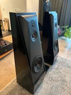 Thiel CS3.5 Met het filter, Audio, Tv en Foto, Zo goed als nieuw, 120 watt of meer, Front, Rear of Stereo speakers, Ophalen