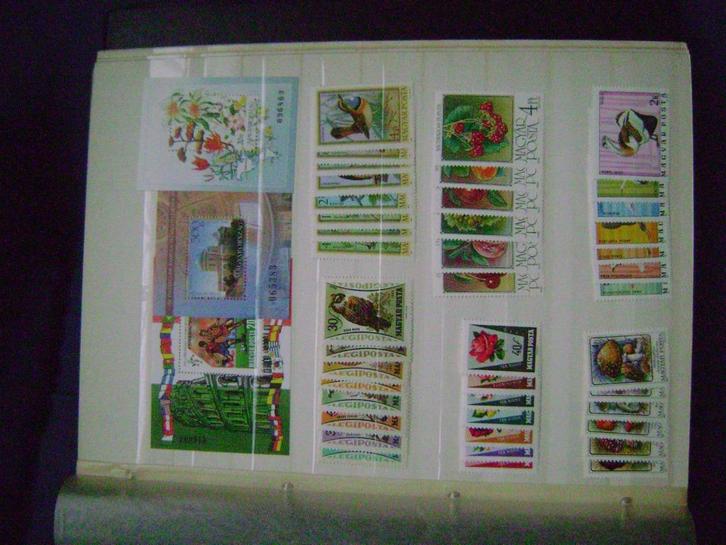 Verzameling Hongarije, Postzegels en Munten, Postzegels | Volle albums en Verzamelingen, Nederland, Ophalen of Verzenden