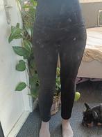 Kevlar Motor Legging Dames - Maat S, Ophalen of Verzenden, Richa, Dames, Broek | textiel