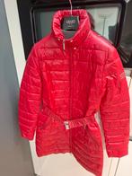 Phard Rode Dames winterjas, Phard, Nieuw, Ophalen of Verzenden, Maat 36 (S)
