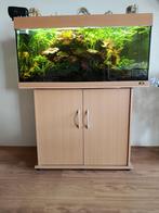 Aquarium, Dieren en Toebehoren, Vissen | Aquaria en Toebehoren, Ophalen, Gebruikt, Gevuld zoetwateraquarium