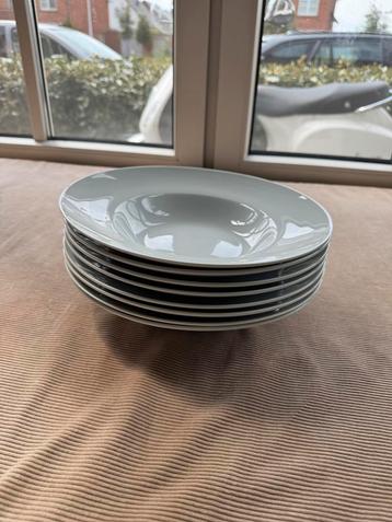 Pastaborden (servies)  beschikbaar voor biedingen