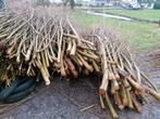 Knotwilg Wilgen takken gratis brengen, Tuin en Terras, Haardhout, Ophalen of Verzenden