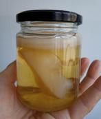 Kombucha scobies + starter, Diversen, Ophalen