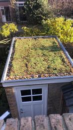 Sedumdakbedekking 3m2 - Compleet pakket, Tuin en Terras, Vijvers, Ophalen, Nieuw