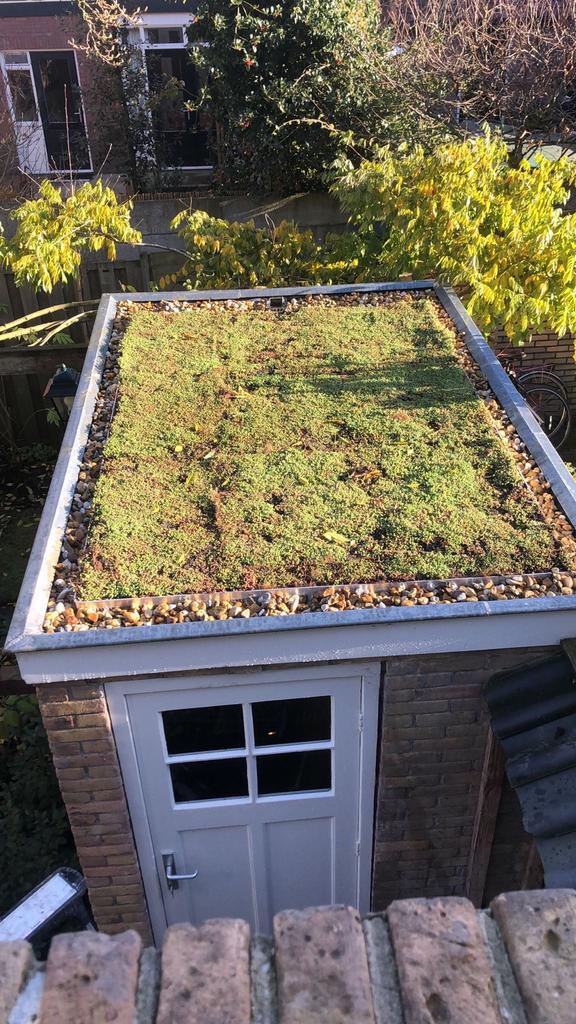 Sedumdakbedekking 3m2 - Compleet pakket, Tuin en Terras, Vijvers, Nieuw, Ophalen