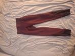 Bordeaux rode paardrij broek, Dieren en Toebehoren, Paardrijkleding, Gebruikt, Overige soorten, Dames, Onderkleding
