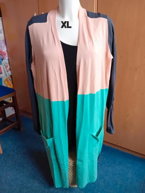 Mooi vest, Kleding | Dames, Truien en Vesten, Zo goed als nieuw, Maat 46/48 (XL) of groter, Grijs, Ophalen of Verzenden