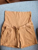 Korte positiebroek L prenatal, Bruin, Maat 42/44 (L), Ophalen of Verzenden, Zo goed als nieuw