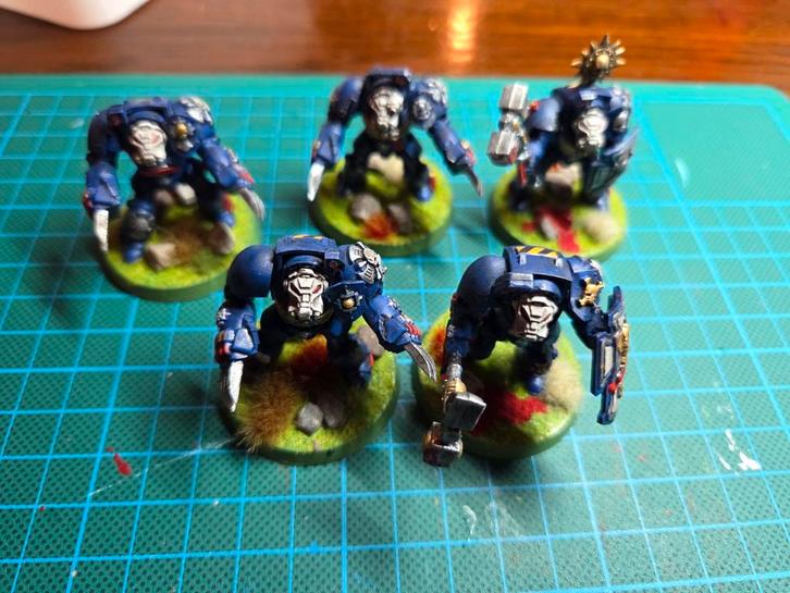 Terminator Squad (3), Hobby en Vrije tijd, Wargaming, Zo goed als nieuw, Warhammer, Ophalen of Verzenden