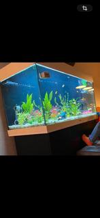 Aquarium met pomp en toebehoren, Dieren en Toebehoren, Vissen | Aquaria en Toebehoren, Ophalen, Gebruikt, Gevuld zoetwateraquarium