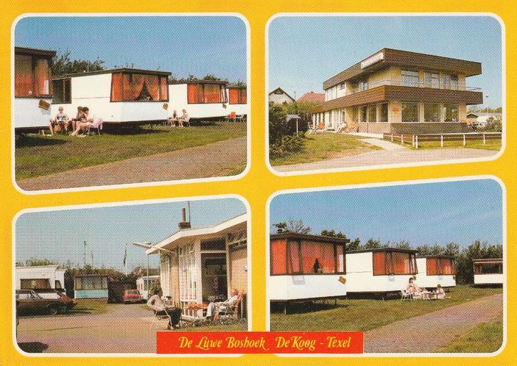 Ansichtkaart van camping De Luwe Boshoek in De Koog op Texel, Verzamelen, Ansichtkaarten | Nederland, Ongelopen, Waddeneilanden