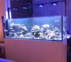 Waterbox peninsula 7225 wit, Ophalen, Gebruikt, Leeg aquarium