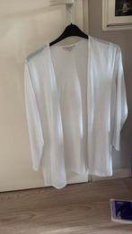 Wit vest maat XL, Ophalen of Verzenden, Gedragen, Maat 46/48 (XL) of groter, Wit