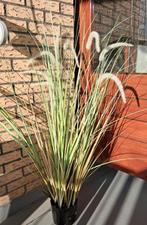 Kunst plant siergras Tuinrager, Tuin en Terras, Ophalen, Zo goed als nieuw