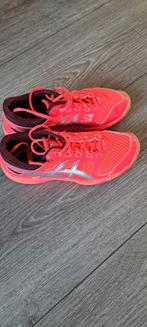 Asics volleybalschoenen zaalschoenen maat 37,5, Sport en Fitness, Volleybal, Ophalen of Verzenden, Gebruikt, Schoenen