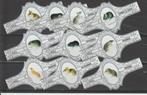 reeks - 109   knaagdieren   1-10  sigarenbandjes, Verzenden, Zo goed als nieuw, Sigarenbandjes