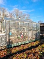 Tuinkas te koop, Tuin en Terras, Kassen, Ophalen, Gebruikt, Kweekkas, Glas