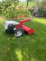 Tuinfrees, Tuin en Terras, Hand-tuingereedschap, Ophalen