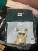 WOEI x Slowflowanimal Barry T-shirt M, Kleding | Heren, T-shirts, Ophalen of Verzenden, Nieuw, Maat 48/50 (M), Groen