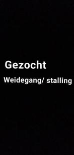 Gezocht weidegang, Dieren en Toebehoren, Stalling en Weidegang