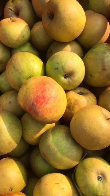 Onbespoten fruit appels en peren beschikbaar voor biedingen