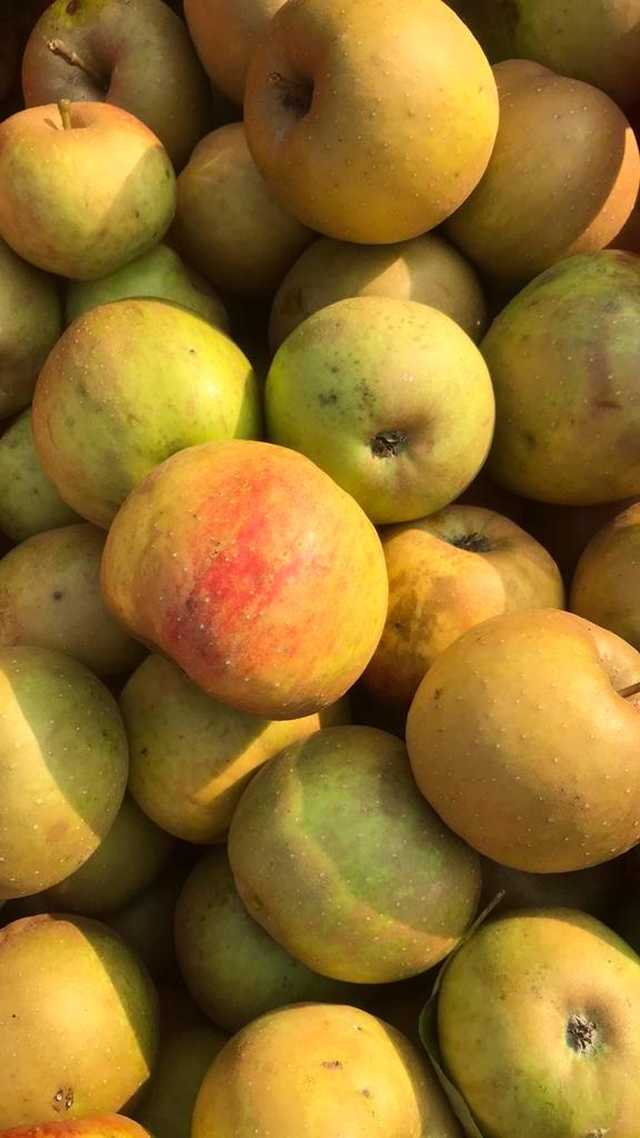 Onbespoten fruit appels en peren, Diversen, Levensmiddelen, Ophalen