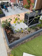 Boom wiegen, Overige soorten, Lente, 100 tot 250 cm, Ophalen