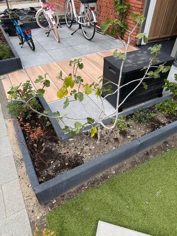 Boom wiegen beschikbaar voor biedingen