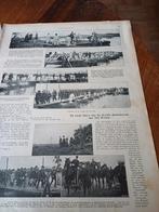 Knipsel Grote manoeuvres 4de divisie 1909, Ophalen of Verzenden, Landmacht, Nederland, Embleem of Badge