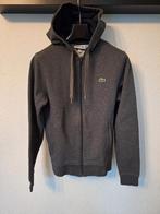 Lacoste vest trui pullover XS dus 176 kleding winter mode, Trui of Vest, Nieuw, Ophalen of Verzenden, Lacoste