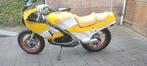 Suzuki RG 250 project, Motoren