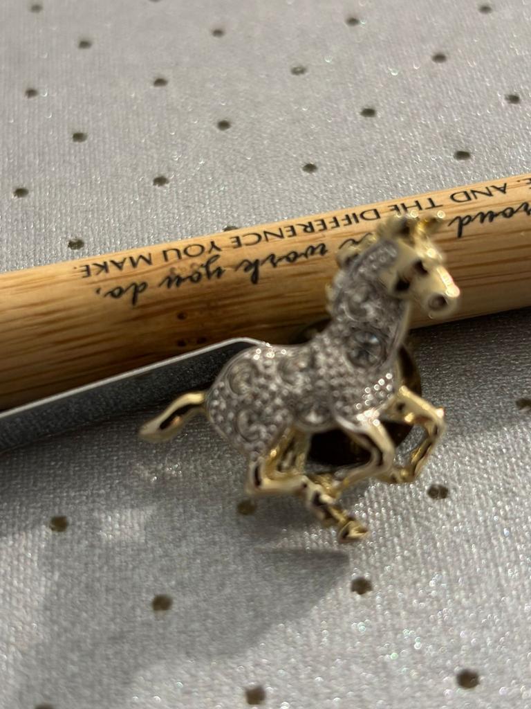 Paard broche, Sieraden, Tassen en Uiterlijk, Broches, Ophalen of Verzenden, Zo goed als nieuw, Zilver, Overige materialen